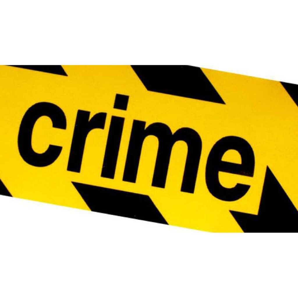 रेशनिंगचे काळ्या बाजारात जाणारे ९ लाख रुपयांचं धान्य जप्त शेवगाव पोलिसांची कारवाई