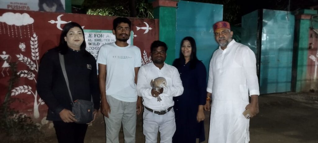 देव तारी त्याला कोण मारी;सामाजिक कार्यकर्त्यांमुळे घुबडाला मिळाले जीवदान