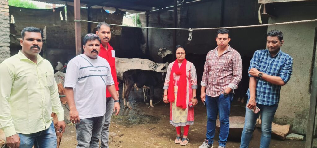 कत्तलखान्यावर कोतवाली पोलीसांचा छापा १७ गोवंशीय जनावरांची सुटका