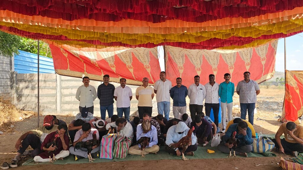 Cock fighting…कोंबड्यांच्या झुंजीत लाखोची बेटिंग..! पोखर्डी शिवारात LCB चा धाडसी छापा 21 जण जेरबंद