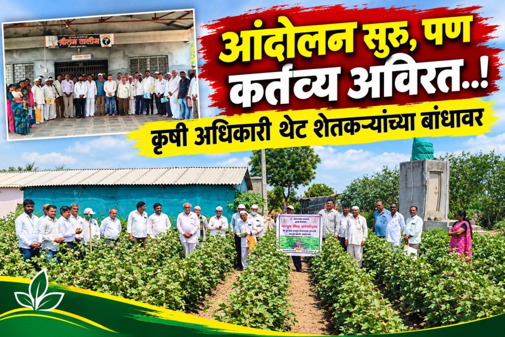 आंदोलन सुरू,पण कर्तव्य अविरत..! कृषी अधिकारी थेट शेतकऱ्यांच्या बांधावर;दुष्काळाच्या सावटात पिकांना संजीवनी दुष्काळसदृश्य संकटात कापूस-बाजरी वाचवण्यासाठी कृषी विभाग सरसावला केव्हीके दहीगावच्या तज्ज्ञांकडून प्रत्यक्ष शेतात मार्गदर्शन..
