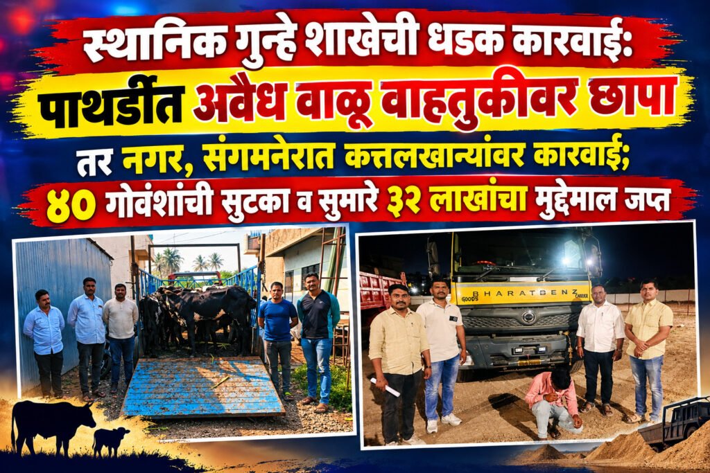 स्थानिक गुन्हे शाखेची धडक कारवाई:पाथर्डीत अवैध वाळू वाहतुकीवर छापा तर नगर, संगमनेरात कत्तलखान्यांवर कारवाई;४० गोवंशांची सुटका व सुमारे ३२ लाखांचा मुद्देमाल जप्त..